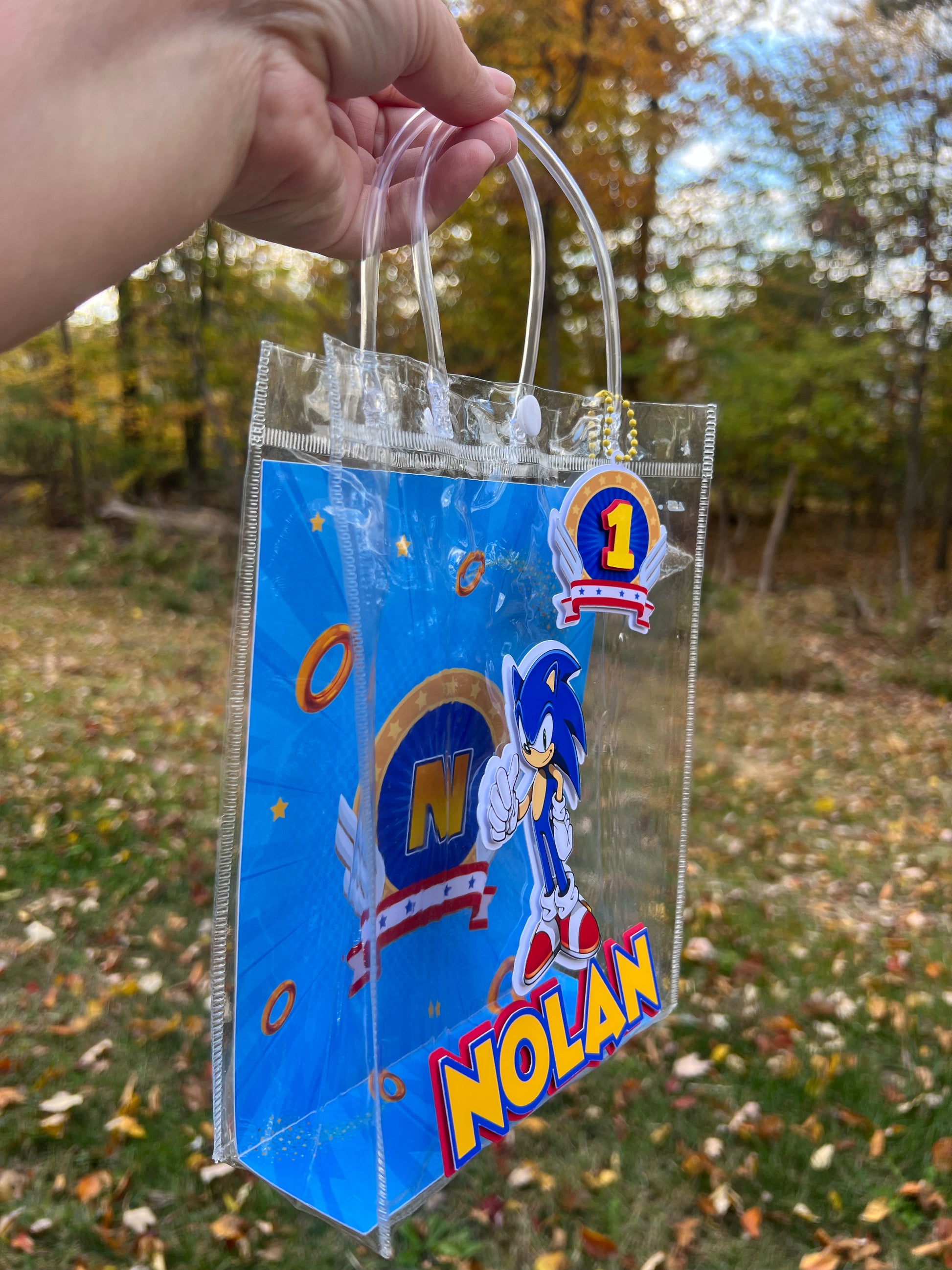 Sonic Party Favor Bags