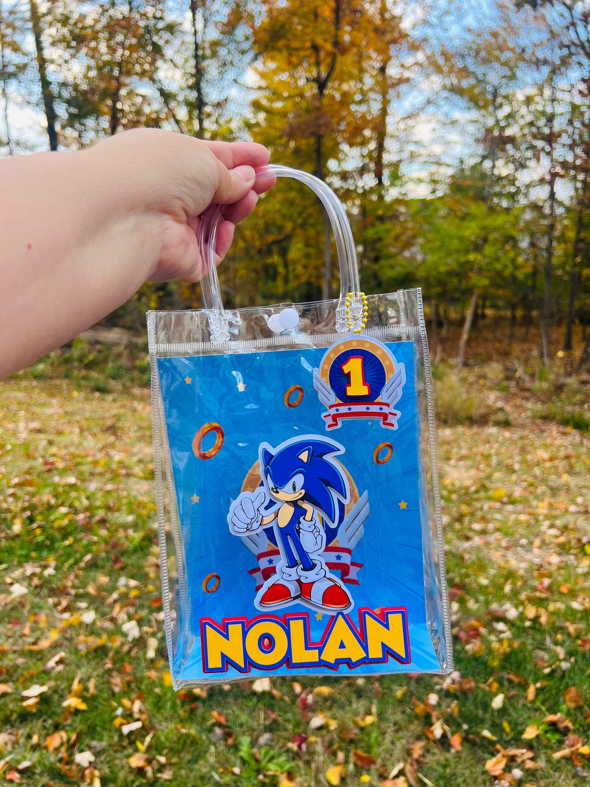 Sonic Party Favor Bags