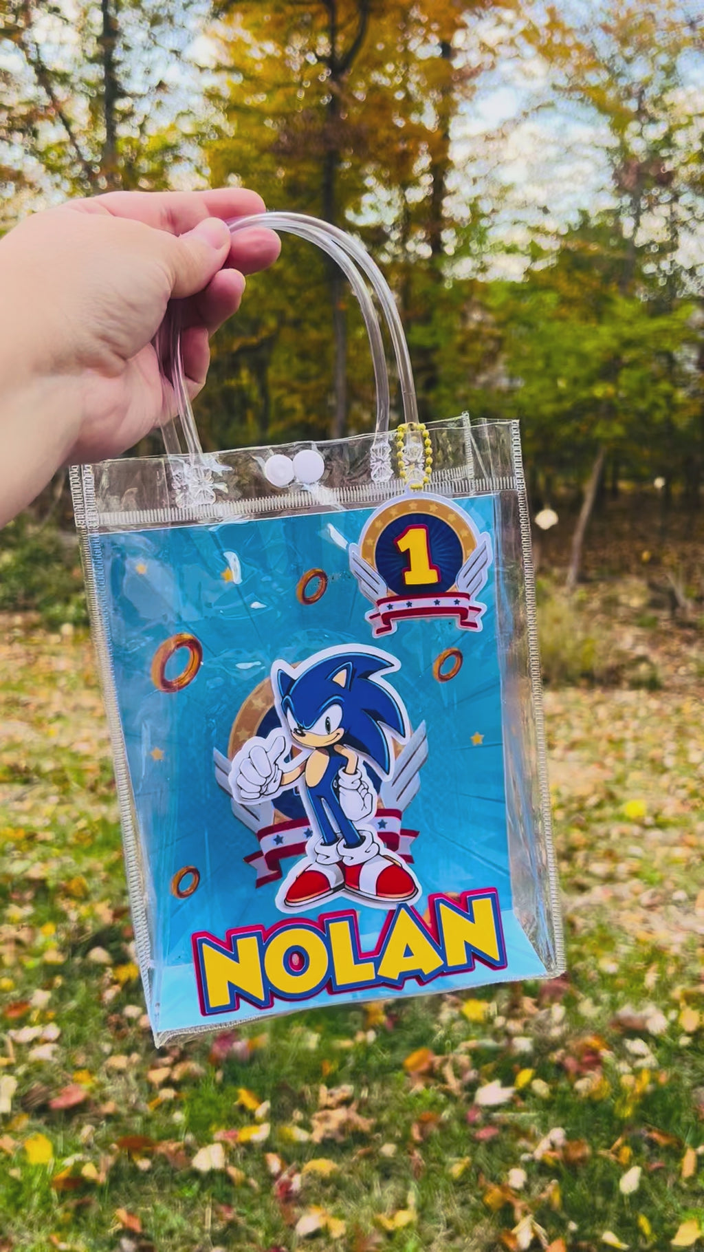 Sonic Party Favor Bags